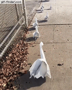 ducks on strike.gif