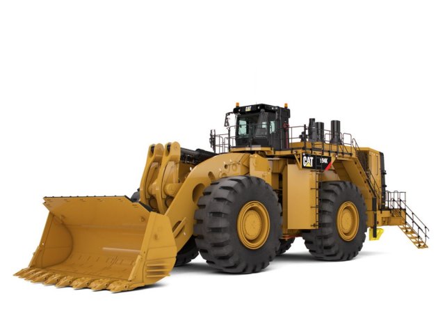 Cat 994.jpg